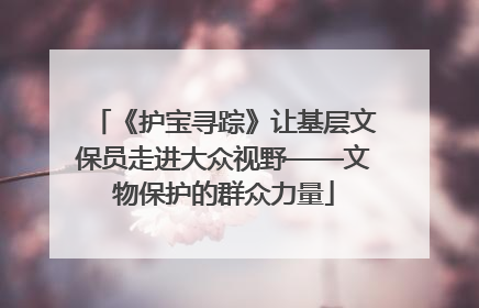 《护宝寻踪》让基层文保员走进大众视野——文物保护的群众力量
