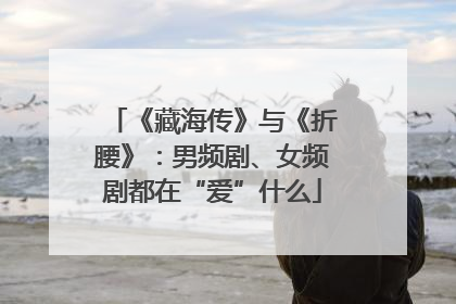 《藏海传》与《折腰》：男频剧、女频剧都在“爱”什么