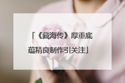 《藏海传》厚重底蕴精良制作引关注