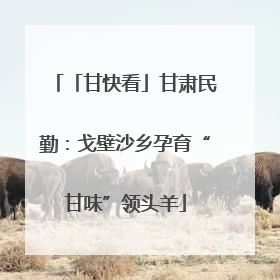 「甘快看」甘肃民勤：戈壁沙乡孕育“甘味”领头羊