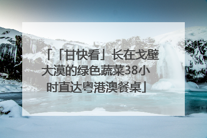 「甘快看」长在戈壁大漠的绿色蔬菜38小时直达粤港澳餐桌