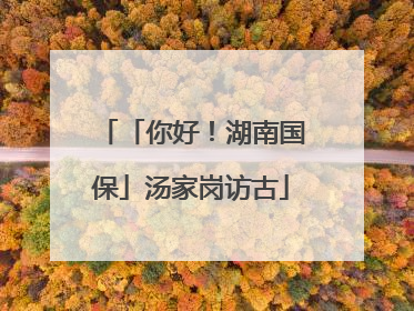 「你好！湖南国保」汤家岗访古
