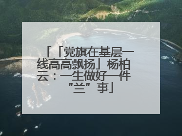 「党旗在基层一线高高飘扬」杨柏云：一生做好一件“兰”事