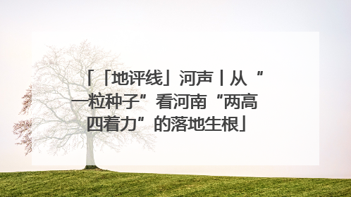 「地评线」河声丨从“一粒种子”看河南“两高四着力”的落地生根