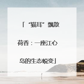 “猫耳”飘散荷香：一座江心岛的生态蜕变