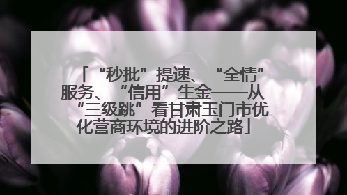 “秒批”提速、“全情”服务、“信用”生金——从“三级跳”看甘肃玉门市优化营商环境的进阶之路