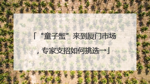 “童子蟹”来到厦门市场，专家支招如何挑选→