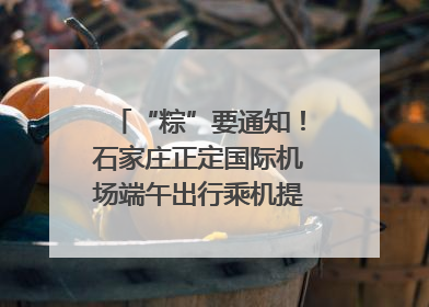“粽”要通知！石家庄正定国际机场端午出行乘机提示，快来get