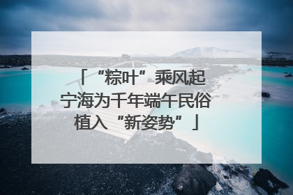 “粽叶”乘风起 宁海为千年端午民俗植入“新姿势”