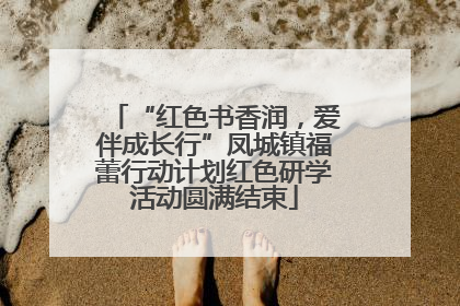 “红色书香润，爱伴成长行”凤城镇福蕾行动计划红色研学活动圆满结束