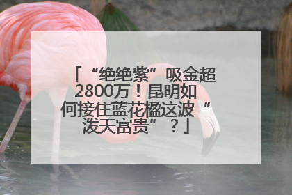 “绝绝紫”吸金超2800万！昆明如何接住蓝花楹这波“泼天富贵”？