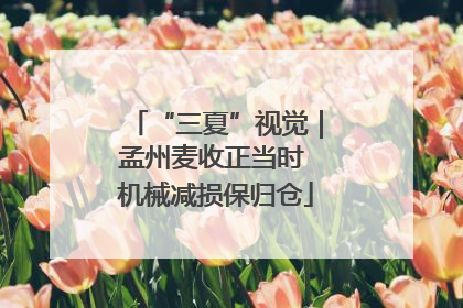 “三夏”视觉｜孟州麦收正当时 机械减损保归仓