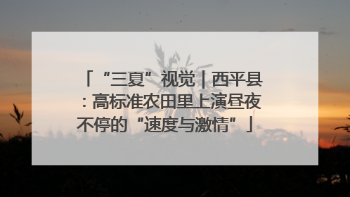 “三夏”视觉｜西平县：高标准农田里上演昼夜不停的“速度与激情”