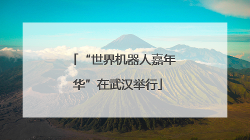 “世界机器人嘉年华”在武汉举行
