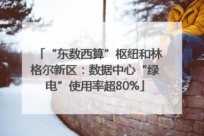 “东数西算”枢纽和林格尔新区：数据中心“绿电”使用率超80%