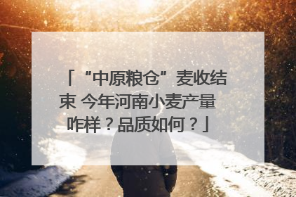 “中原粮仓”麦收结束 今年河南小麦产量咋样？品质如何？