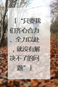 “只要我们齐心合力、全力以赴，就没有解决不了的问题”