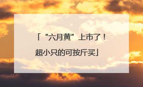 “六月黄”上市了！超小只的可按斤买