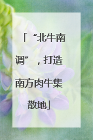 “北牛南调”，打造南方肉牛集散地