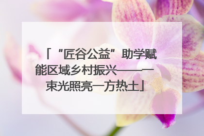 “匠谷公益”助学赋能区域乡村振兴——一束光照亮一方热土