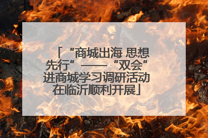 “商城出海 思想先行”——“双会”进商城学习调研活动在临沂顺利开展