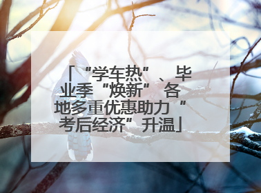 “学车热”、毕业季“焕新” 各地多重优惠助力“考后经济”升温