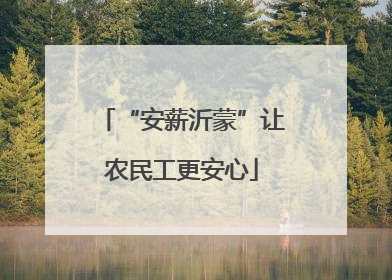 “安薪沂蒙”让农民工更安心