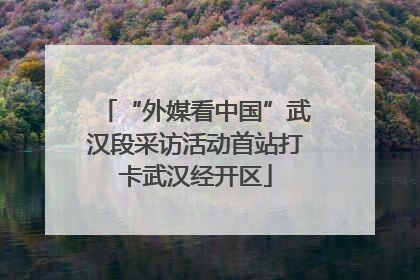 “外媒看中国”武汉段采访活动首站打卡武汉经开区
