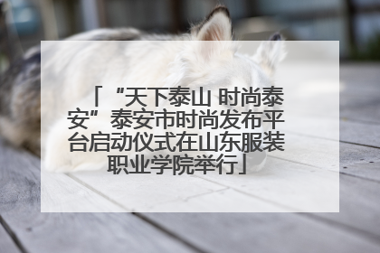 “天下泰山 时尚泰安”泰安市时尚发布平台启动仪式在山东服装职业学院举行