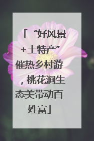 “好风景+土特产”催热乡村游，桃花涧生态美带动百姓富