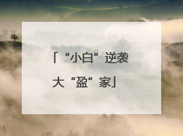 “小白”逆袭大“盈”家