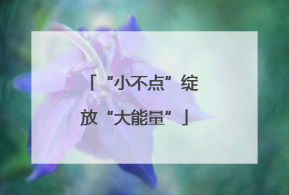 “小不点”绽放“大能量”