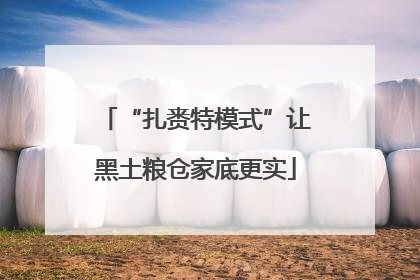 “扎赉特模式”让黑土粮仓家底更实