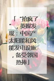 “抢疯了”，英媒发现：中国产太阳能和风能发电设施，备受邻国热捧