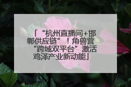“杭州直播间+邯郸供应链”！角兽营“跨域双平台”激活鸡泽产业新动能