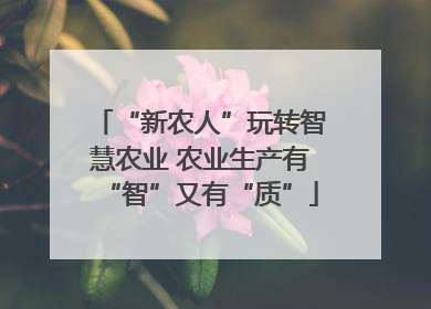“新农人”玩转智慧农业 农业生产有“智”又有“质”