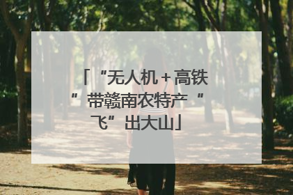 “无人机＋高铁”带赣南农特产“飞”出大山