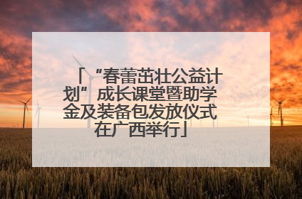 “春蕾茁壮公益计划”成长课堂暨助学金及装备包发放仪式在广西举行