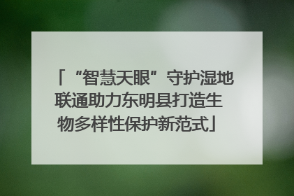 “智慧天眼”守护湿地 联通助力东明县打造生物多样性保护新范式
