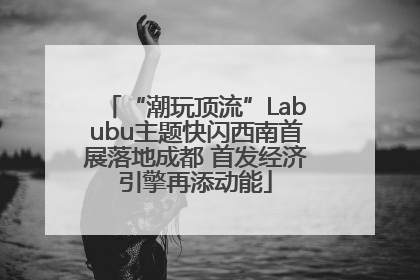 “潮玩顶流”Labubu主题快闪西南首展落地成都 首发经济引擎再添动能