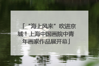 “海上风来”吹进京城！上海中国画院中青年画家作品展开幕