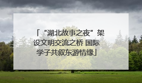 “湖北故事之夜”架设文明交流之桥 国际学子共叙东游情缘