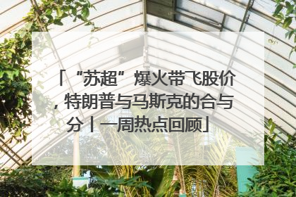 “苏超”爆火带飞股价，特朗普与马斯克的合与分丨一周热点回顾