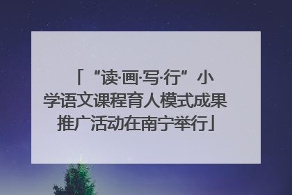 “读·画·写·行”小学语文课程育人模式成果推广活动在南宁举行