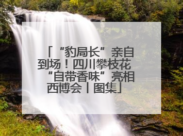 “豹局长”亲自到场！四川攀枝花“自带香味”亮相西博会丨图集