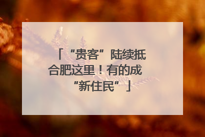 “贵客”陆续抵合肥这里！有的成“新住民”