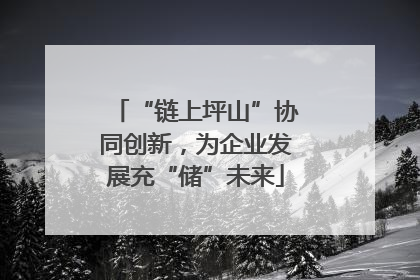 “链上坪山”协同创新，为企业发展充“储”未来