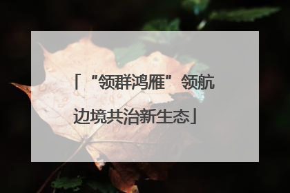 “领群鸿雁”领航边境共治新生态