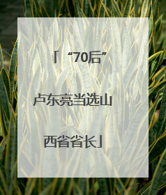 “70后”卢东亮当选山西省省长