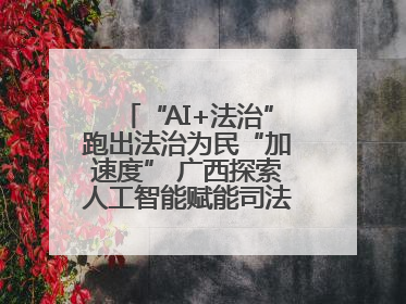 “AI+法治”跑出法治为民“加速度” 广西探索人工智能赋能司法行政发展新路径